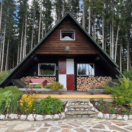 Berghuette Waldheimat Villa Ratten Екстериор снимка
